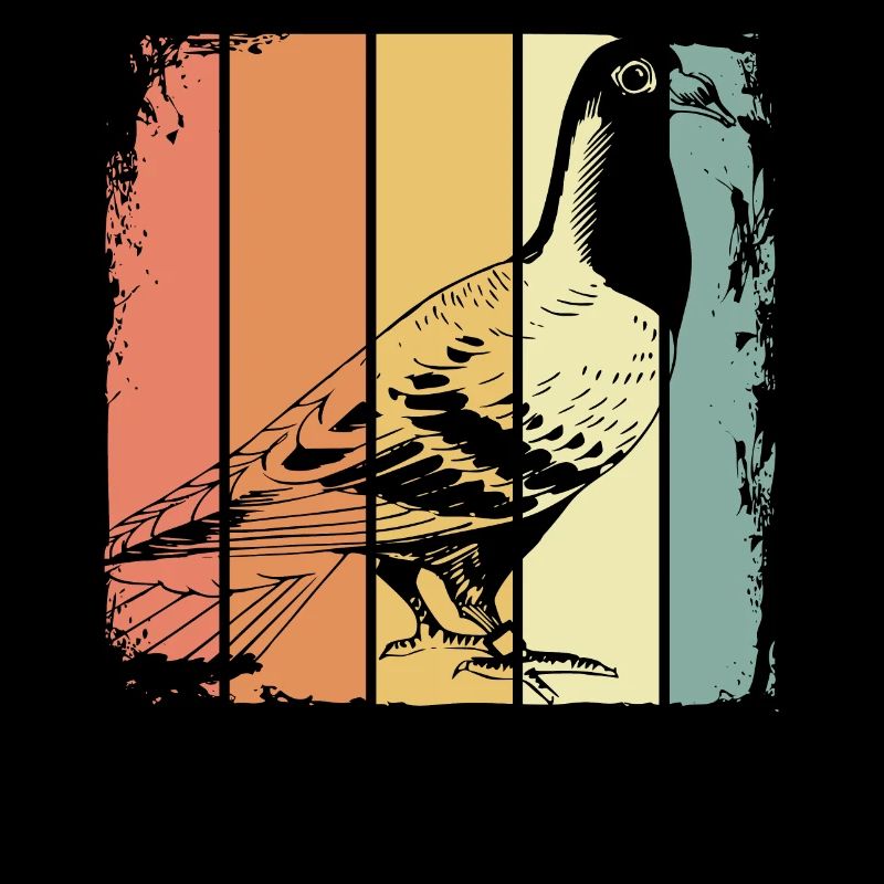 Brieftaube Vogel