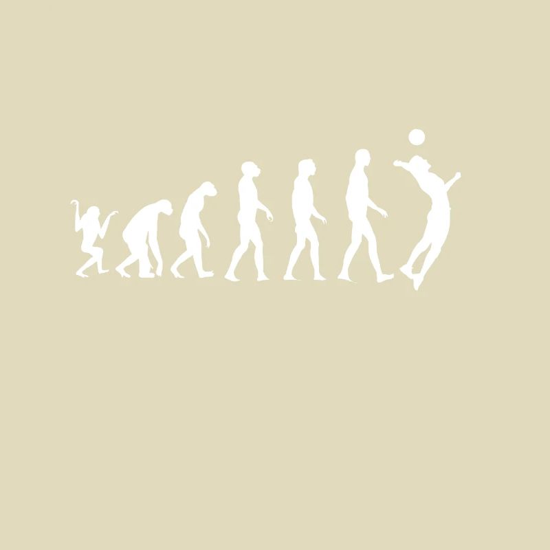 Volleyball Evolution