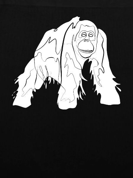 Orang Utan