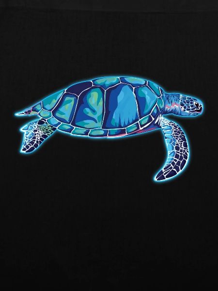 tortues