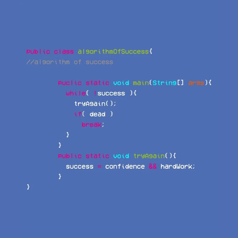 Algorithm Of Success - Coder - Informatiker