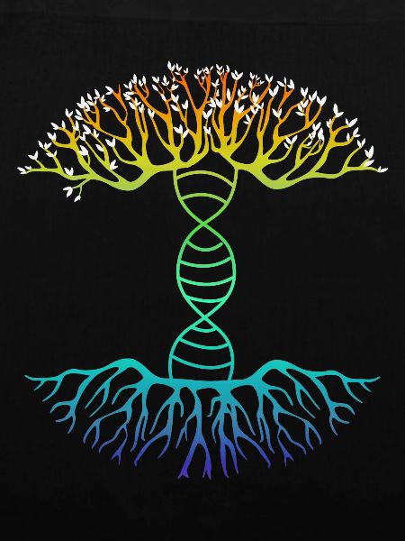 DNA family tree