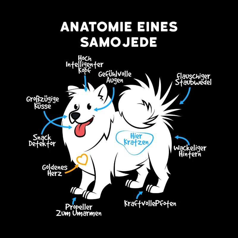 Anatomie Eines Samojede