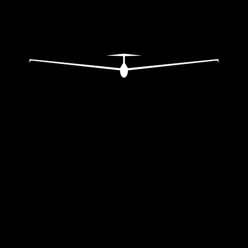 Glider Gliding Pilot