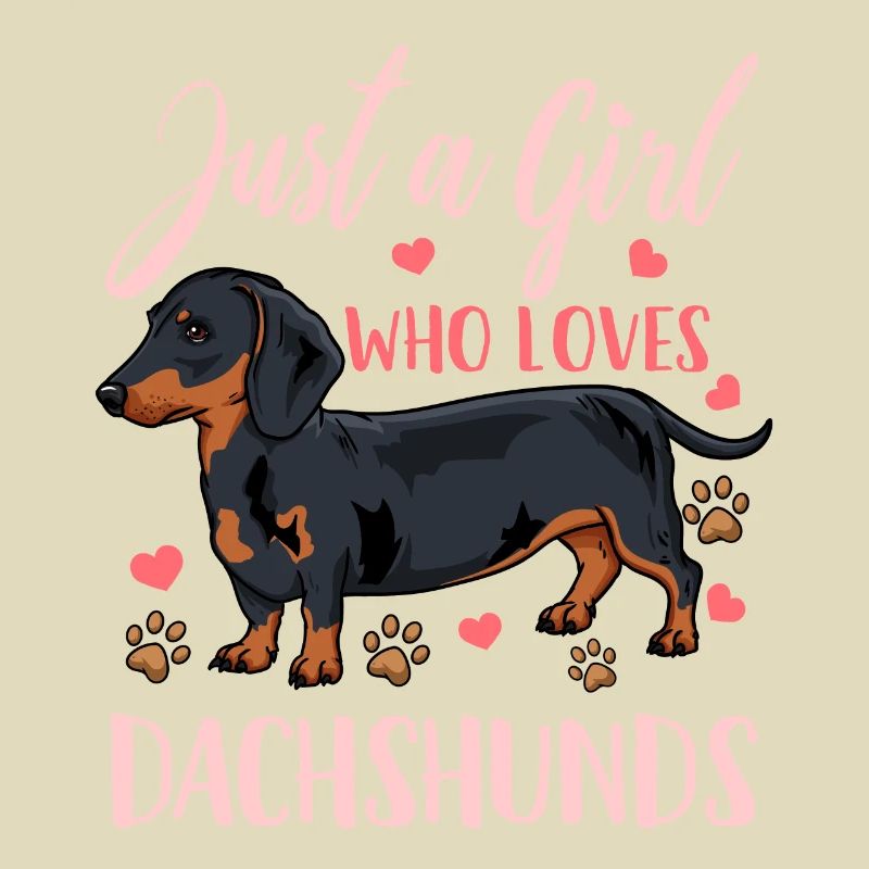 Dackel Dachshund