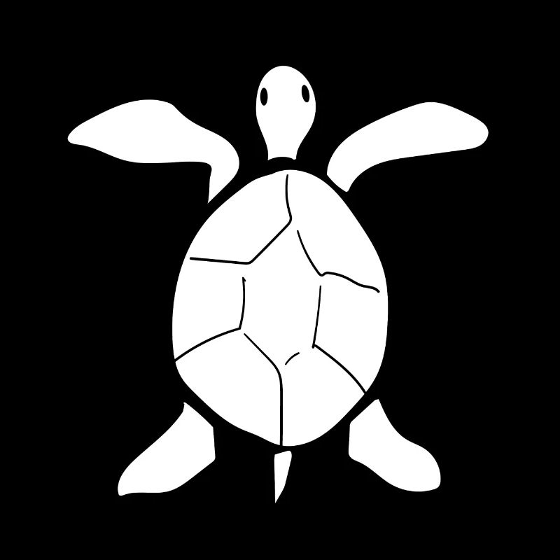 Turtle Turtle