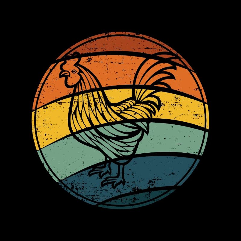 Rooster chicken hen