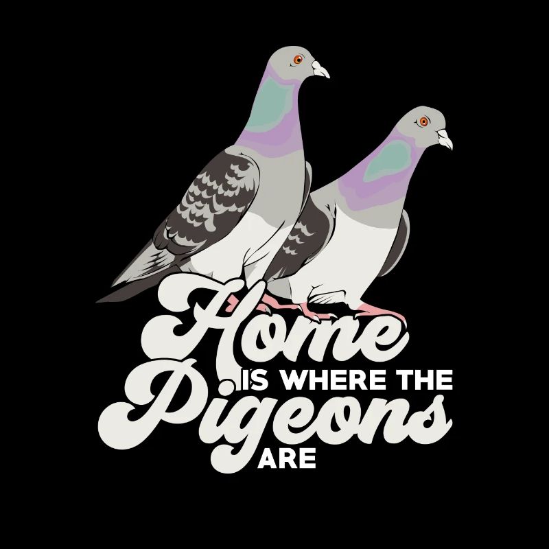 Pigeons oiseaux pigeons élevage de pigeons cadeau