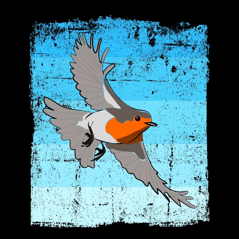 Observation des oiseaux Oiseaux Observation des oiseaux Oiseaux