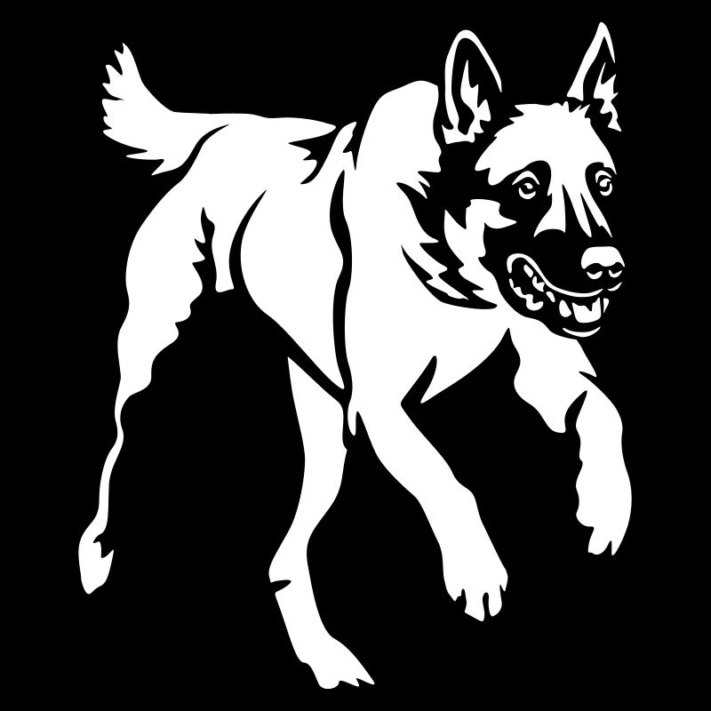 Malinois « Black Edition »