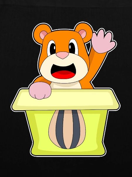 Hamster Karton