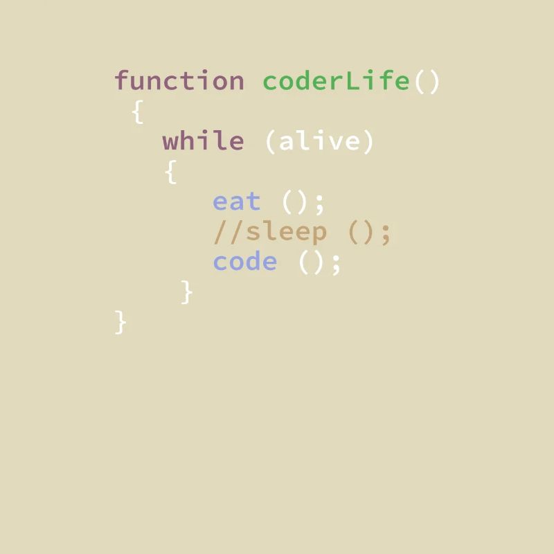 Funny Programmer Life Function