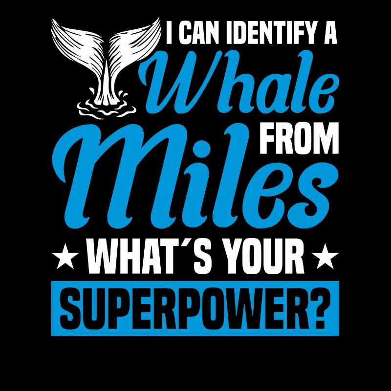 Observation des baleines Observation des baleines Orques Bleu Baleine