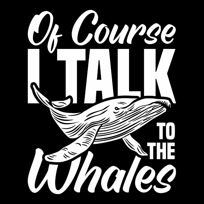 Observation des baleines Observation des baleines Orques Bleu Baleine