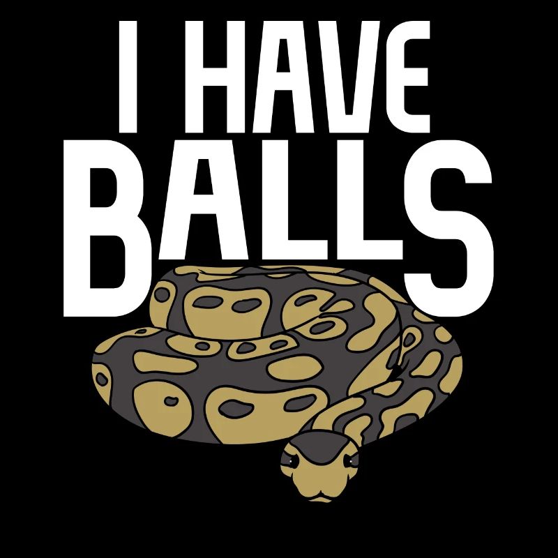 Ball python snake