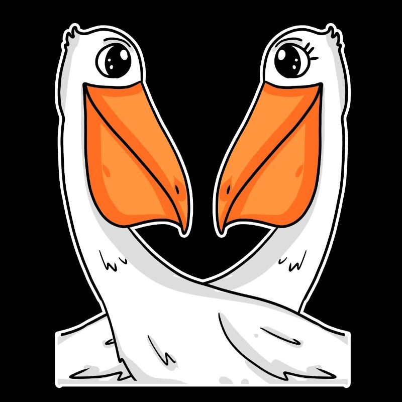 two pelicans