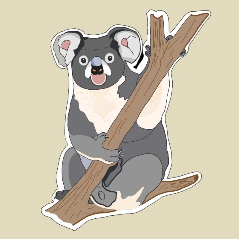Koala Koala Ours