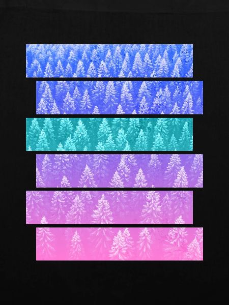 Fir
