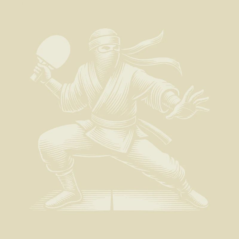 Ninja Tennis de table Combattant Ping Pong Master