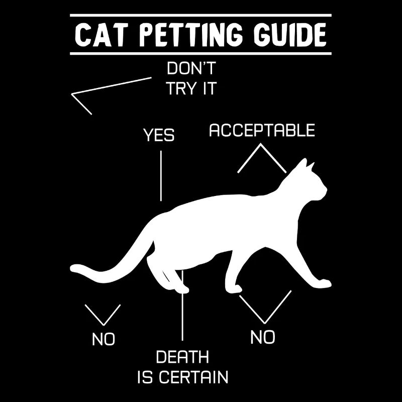 Guide de caresses pour chat