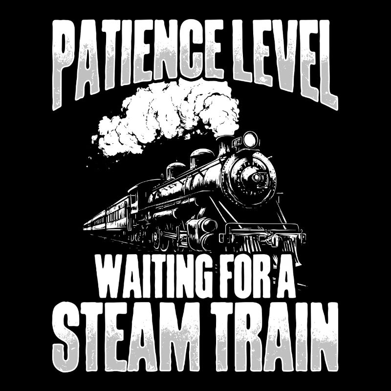 Train Driver Train Driver Train Enthusiast Station