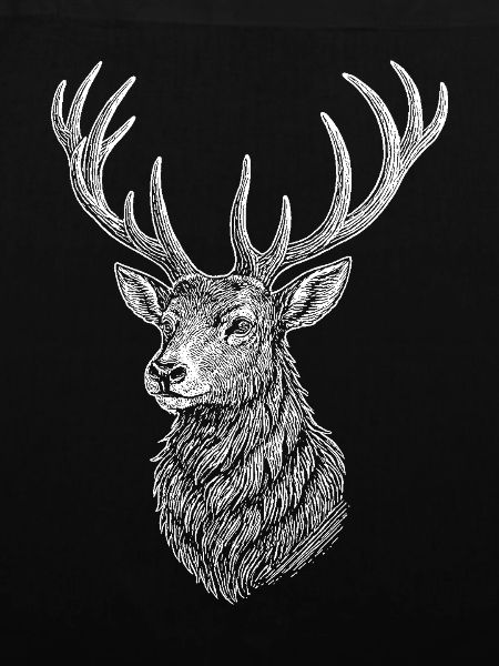Hirsch