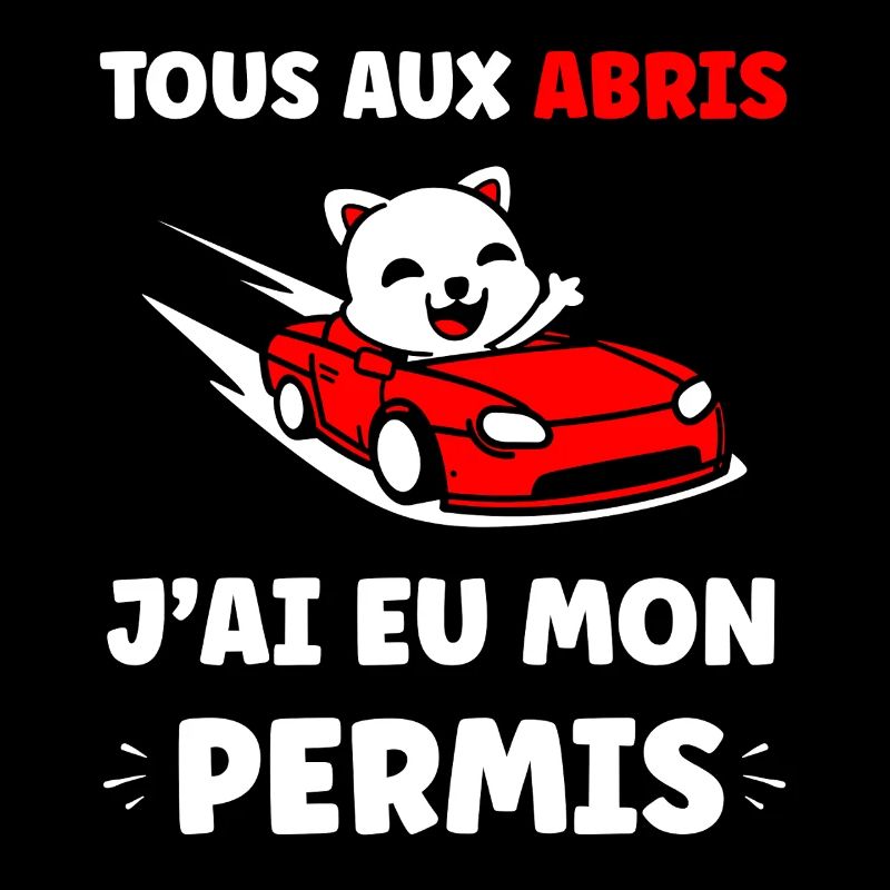 Panda en Cabrio Rouge Permis