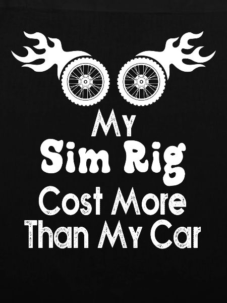 Sim-Rig kostet mehr als mein Auto