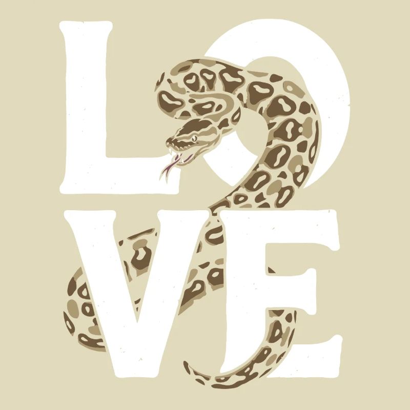 Königspython Schlangen LOVE Terrarium Python