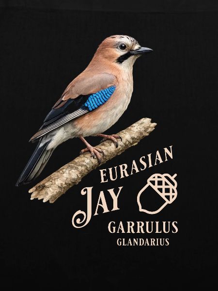 Eurasian Jay Eichelhäher Vogel Design