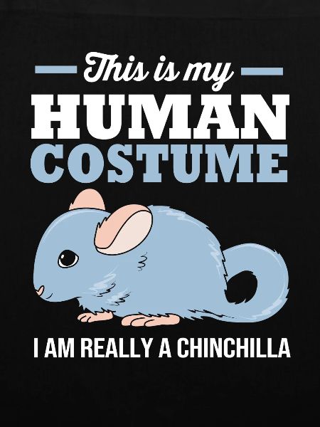 Chinchilla