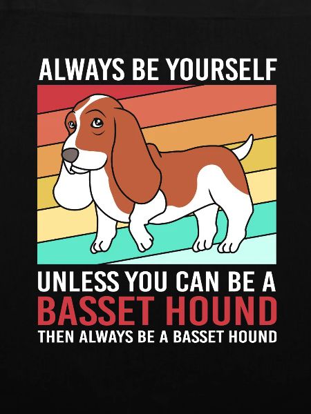 Basset Hound