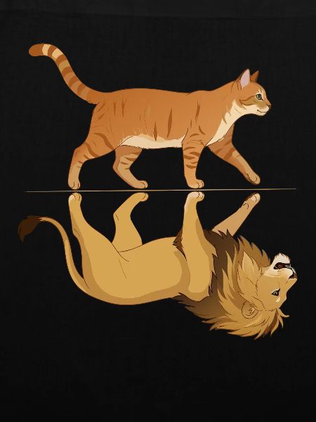 Katze mit Löwe Reflektion Tiere