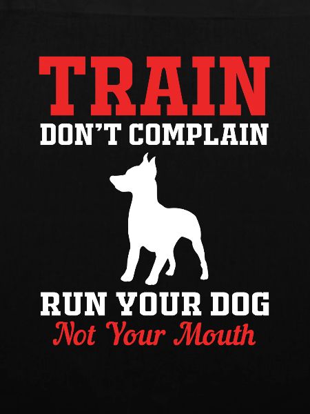 Hundetrainer