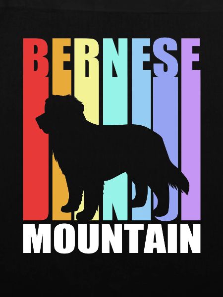 Berner Sennenhund