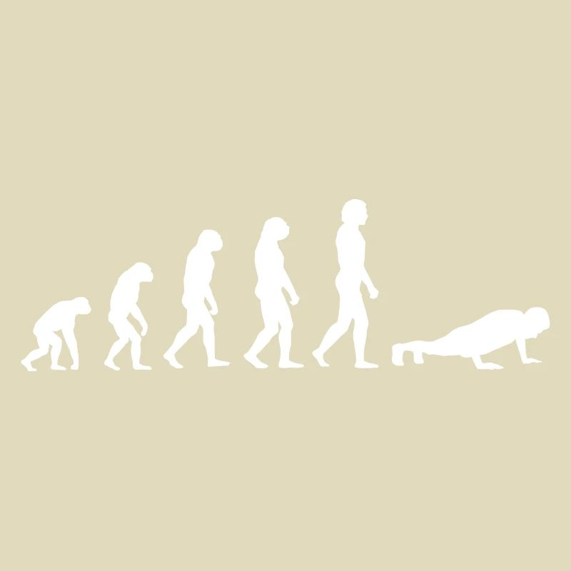 Evolution Pompes