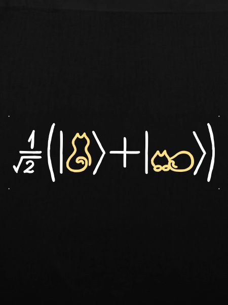 Katzenfreundliche Quantenmechanik