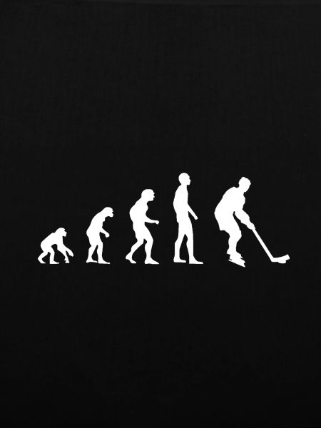Ice Hockey Evolution