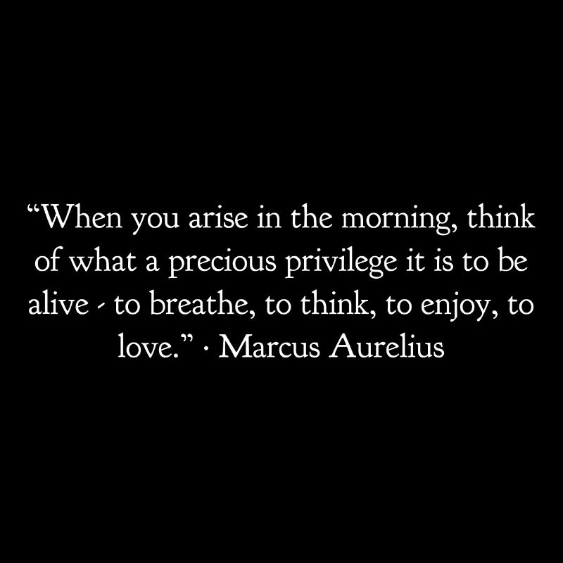 Quand tu te lèves le matin Marcus Aurelius