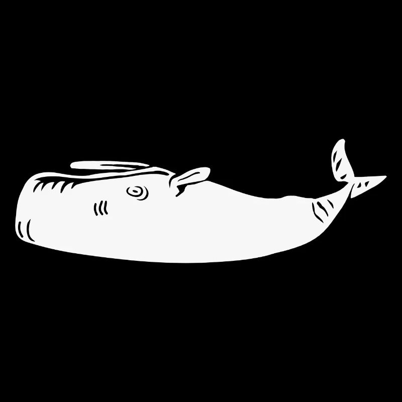 Baleine sur le dos