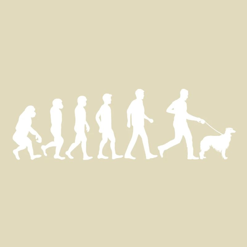 Silken Windhound Hund Evolution Hundebesitzer