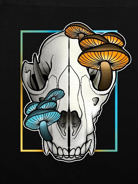 Bear skull