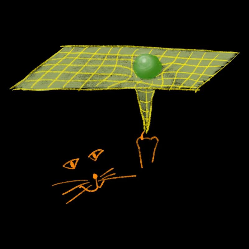 Die große kosmische Katze und die Raumzeit