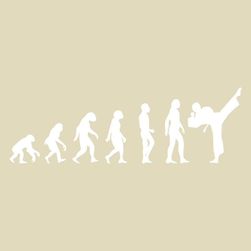 evolution karate t-shirt