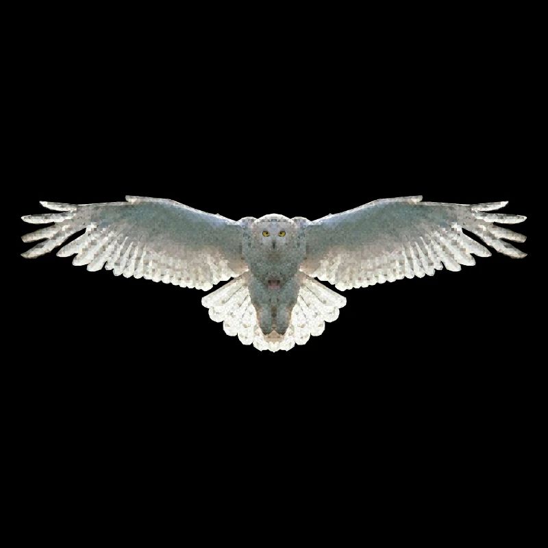 Schneeeule Eule Polygon Vogel Tier Wildtier Uhu