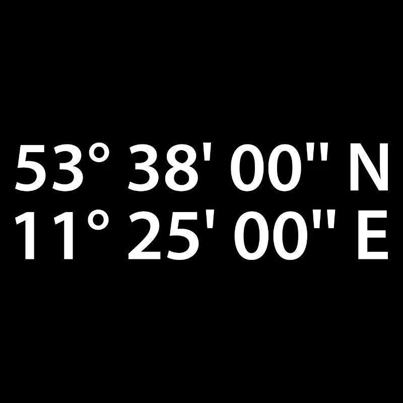Schwerin coordinates