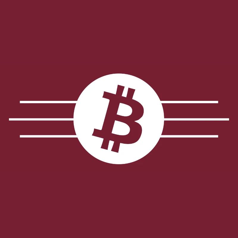 The Bitcoin monetary system