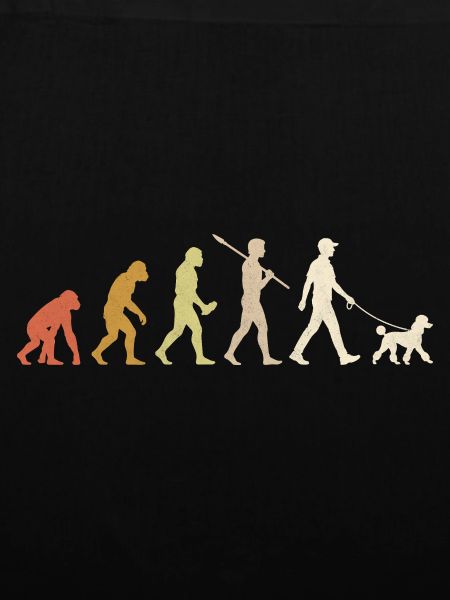 Pudel-Evolution Lustiges Hundebesitzer-Geschenk
