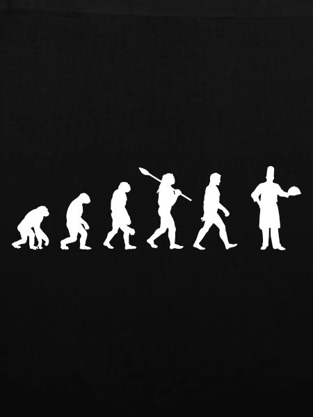 Koch - Evolution des Menschen / Darwin