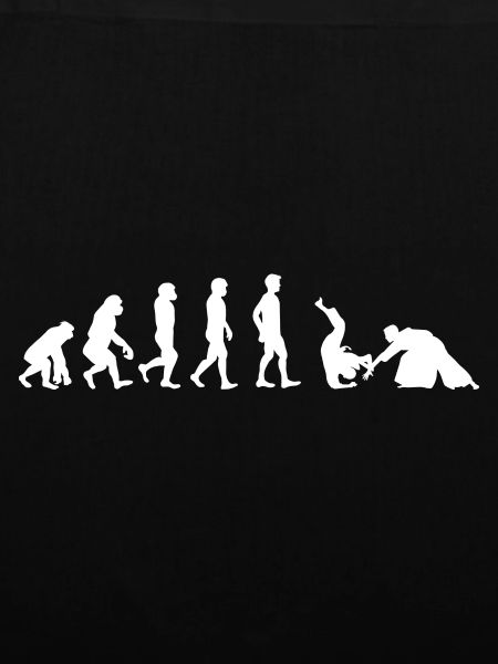 Evolution Aikido Japanische Aikido Kampfkunst